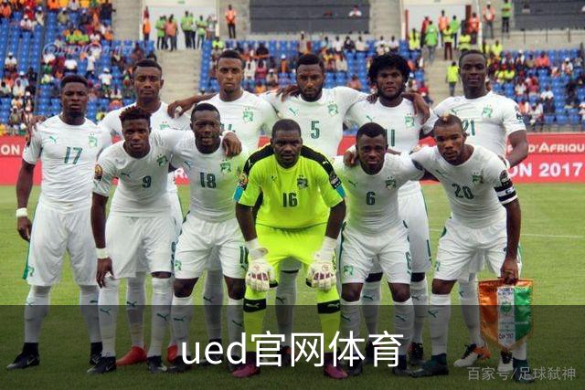ued官网体育公司简介